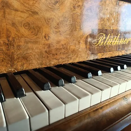 Marini Trevisan Aviano