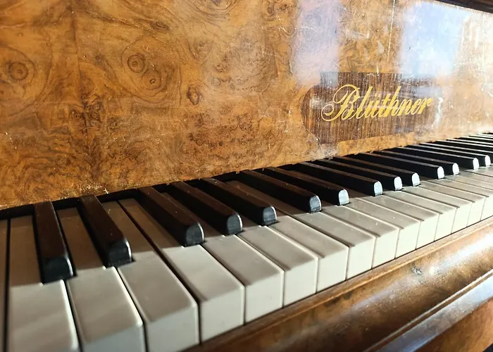 Marini Trevisan أفيانو